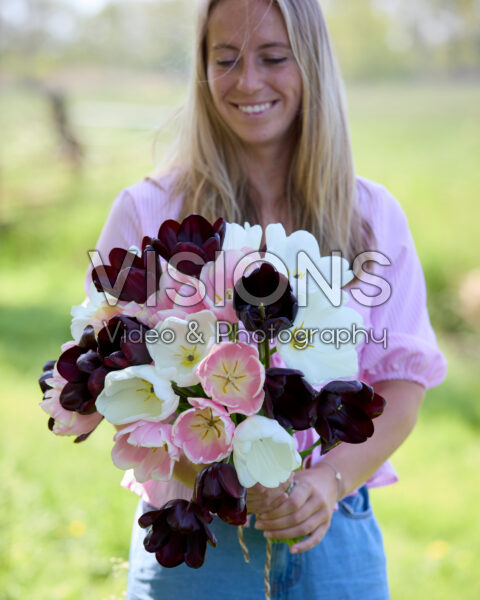 Dame met gemengd tulpenboeket Dame met gemengd tulpenboeket