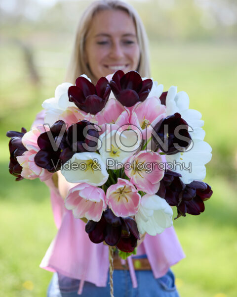 Dame met gemengd tulpenboeket Dame met gemengd tulpenboeket