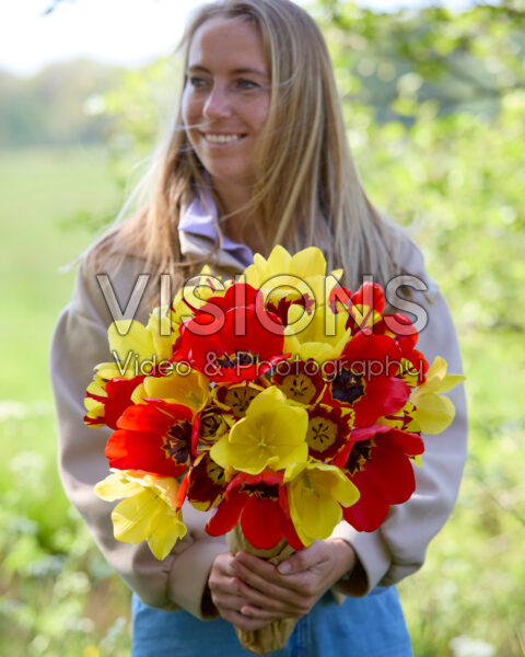 Dame met gemengd tulpenboeket rood en geel Dame met gemengd tulpenboeket rood en geel