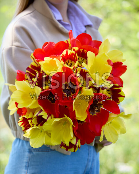 Dame met gemengd tulpenboeket rood en geel Dame met gemengd tulpenboeket rood en geel