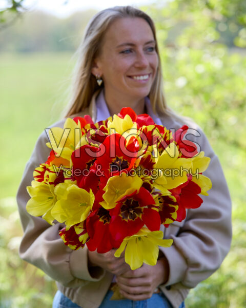Lady with mixed tulip bouquet red and yellow Lady with mixed tulip bouquet red and yellow