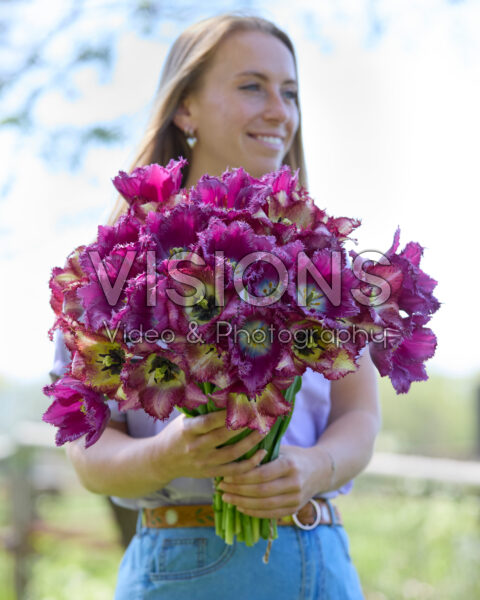 Dame met gemengd tulpenboeket paars Dame met gemengd tulpenboeket paars