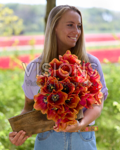 Lady with bouquet Tulipa Louvre Lady with bouquet Tulipa Louvre