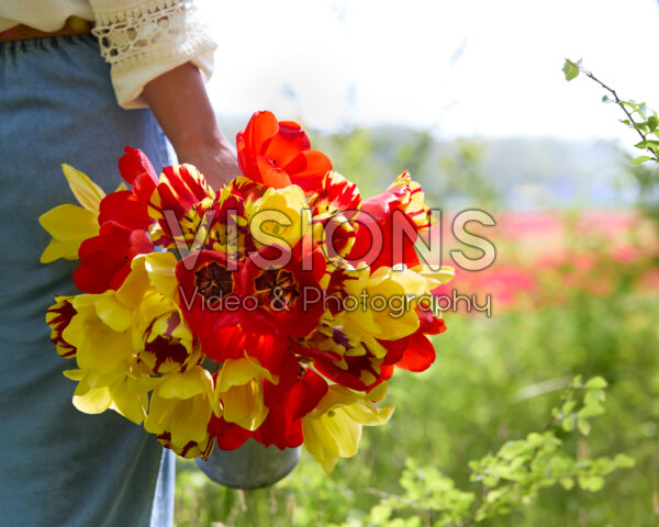 Dame met gemengd tulpenboeket rood en geel Dame met gemengd tulpenboeket rood en geel
