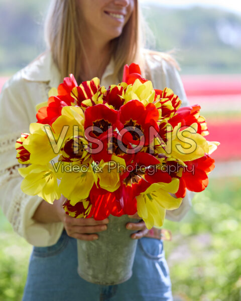 Dame met gemengd tulpenboeket rood en geel Dame met gemengd tulpenboeket rood en geel