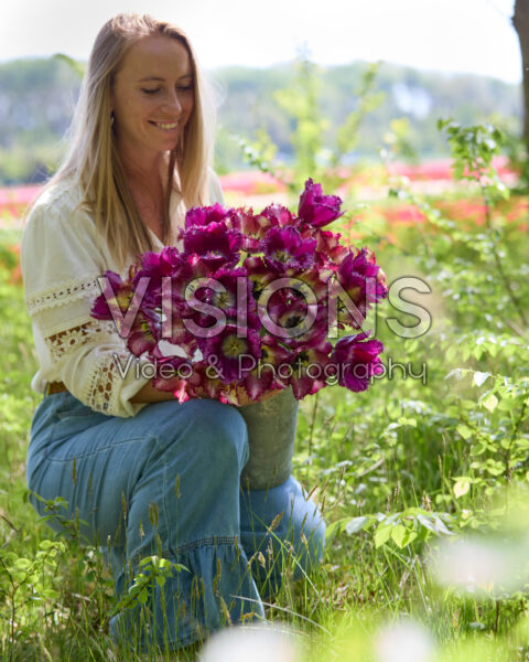 Lady with mixed tulip bouquet purple Lady with mixed tulip bouquet purple