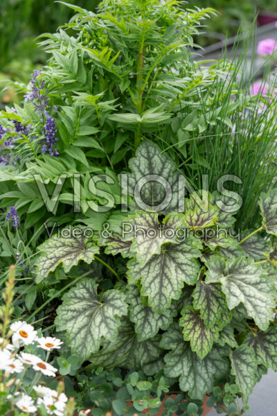 Mixed container Mixed container