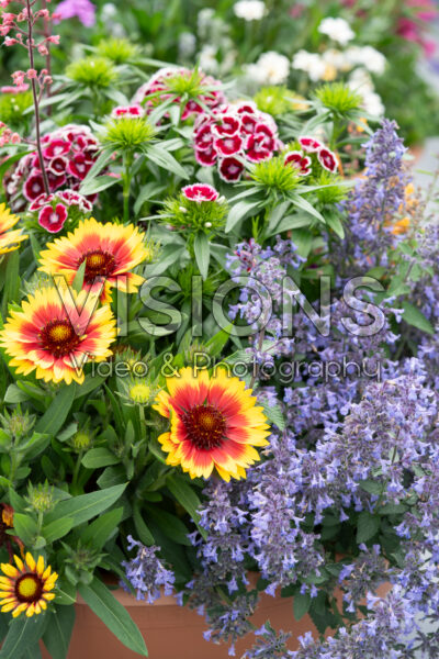 Mixed container