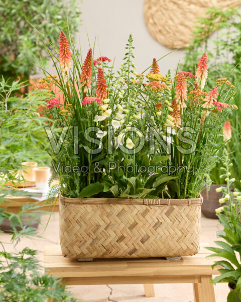 Vaste plantencombinatie in rieten plantenbak