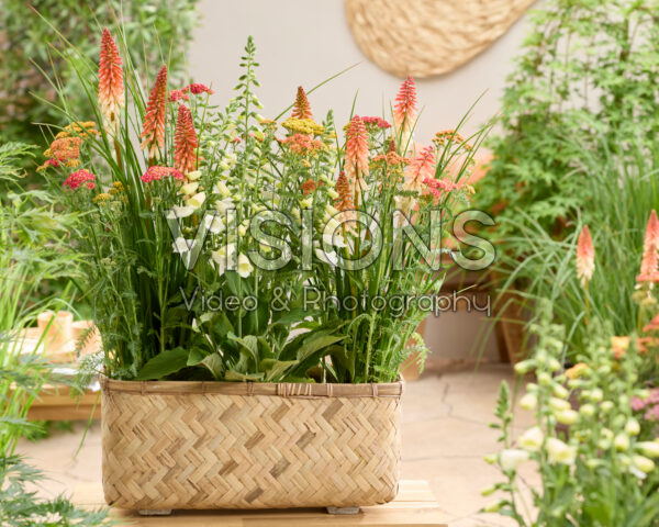Perennial combination in wicker planter Perennial combination in wicker planter