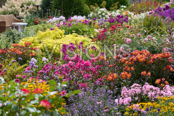 Summer flower garden Summer flower garden