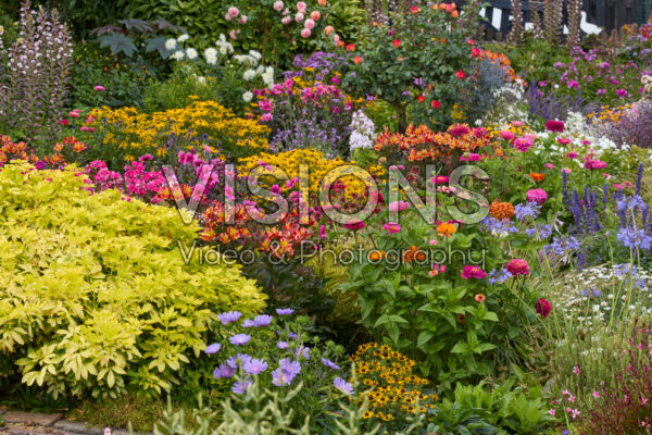 Zomerbloementuin Zomerbloementuin