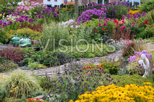 Zomerbloementuin Zomerbloementuin