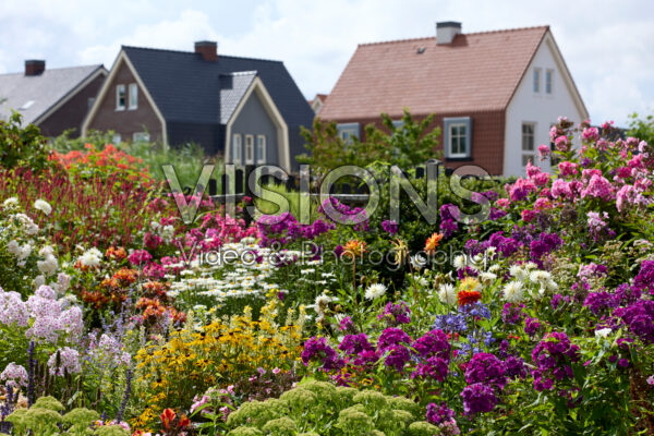 Summer flower garden Summer flower garden