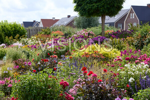 Summer flower garden Summer flower garden