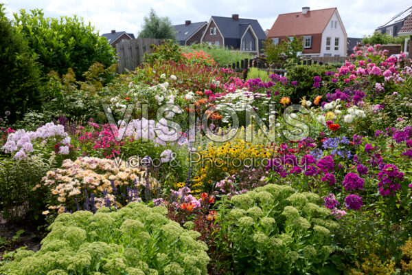 Zomerbloementuin