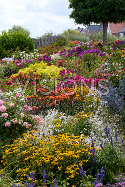 Zomerbloementuin Zomerbloementuin