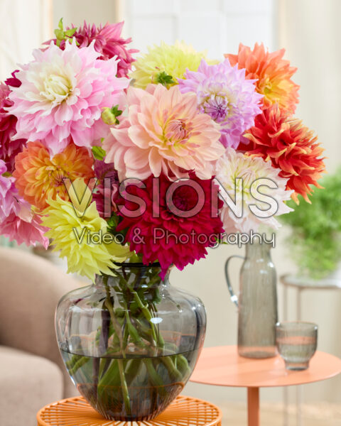 Dinnerplate dahlia boeket