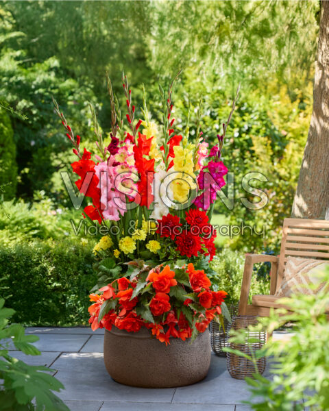 Summer container with mixed bulbs