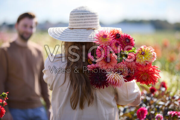 Lady with mixed bouquet in dahlia garden Lady with mixed bouquet in dahlia garden