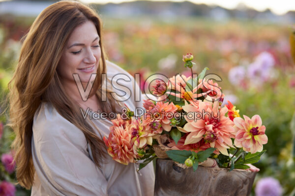 Collecting flowers in dahlia garden