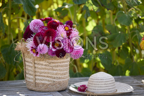Mand met gemengde dahlia's Mand met gemengde dahlia's
