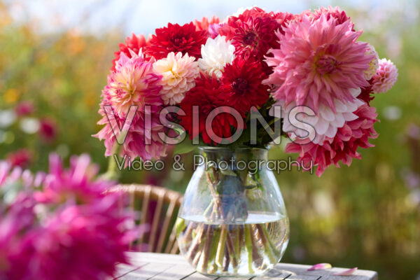 Mixed dahlia bouquet Mixed dahlia bouquet