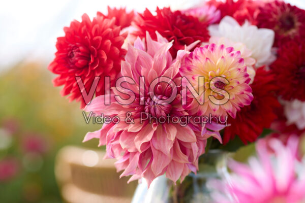 Mixed dahlia bouquet Mixed dahlia bouquet