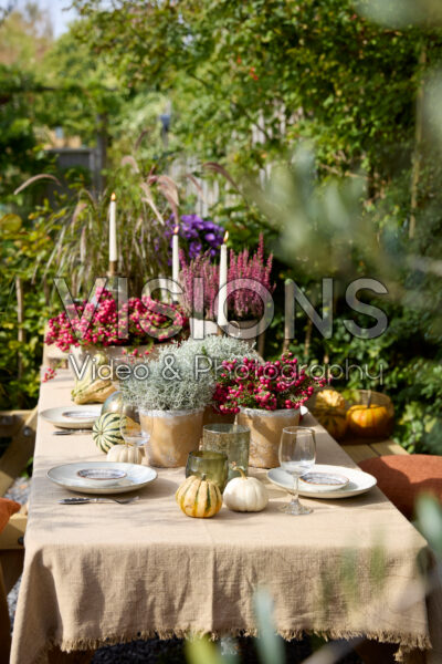Festive fall table