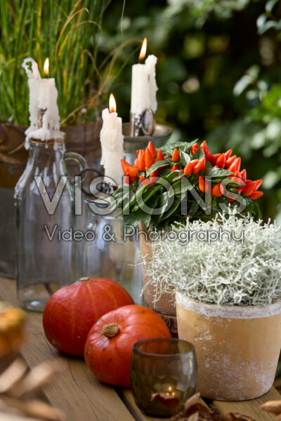 Feestelijke herfsttafel