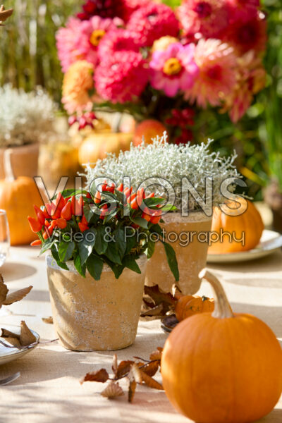 Festive fall table Festive fall table