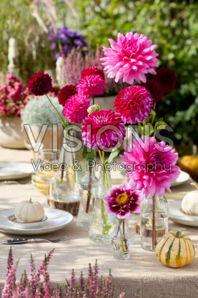 Dahlia's in vaasjes