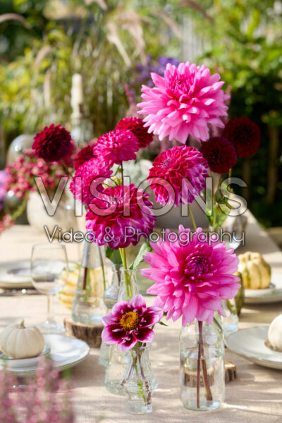 Dahlia's in vaasjes Dahlia's in vaasjes