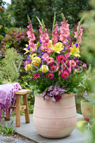 Mixed summer flowers in pot