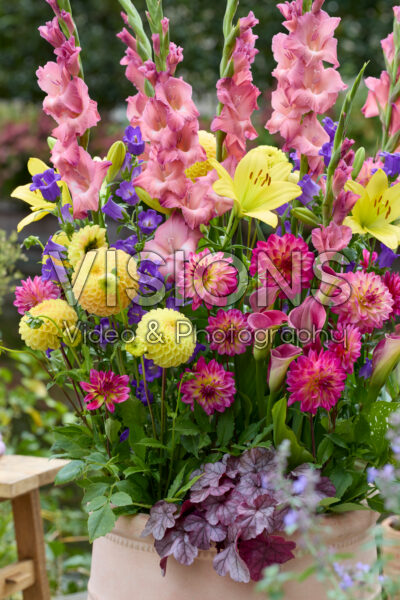Gemengde zomerbloeiers op pot
Gemengde zomerbloeiers op pot