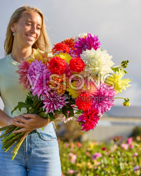 Dame met gemengd dahlia boeket Dame met gemengd dahlia boeket