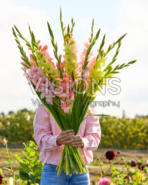 Dame met gemengd gladiolen boeket Dame met gemengd gladiolen boeket