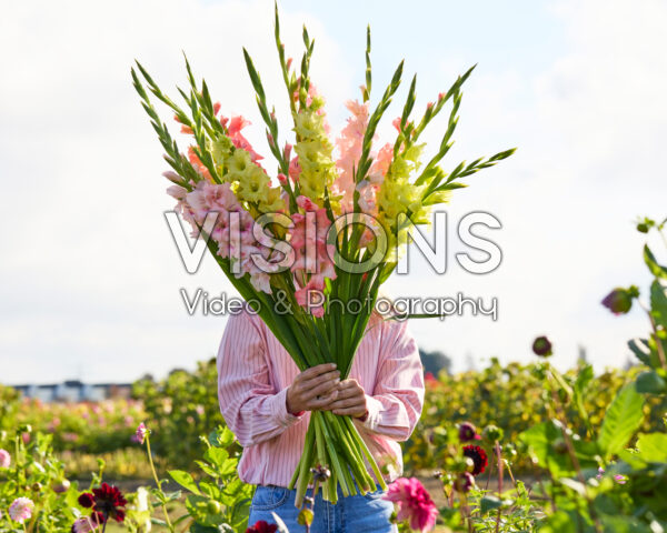 Lady with mixed gladioli bouquet Lady with mixed gladioli bouquet