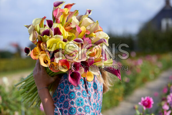 Dame met gemengd calla boeket Dame met gemengd calla boeket