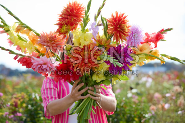 Dame met gemengde zomerbloeiers Dame met gemengde zomerbloeiers