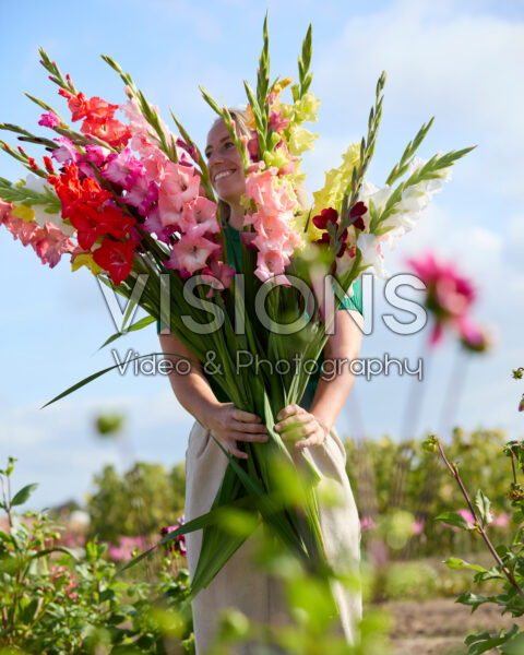 Dame met gemengd gladiolen boeket
