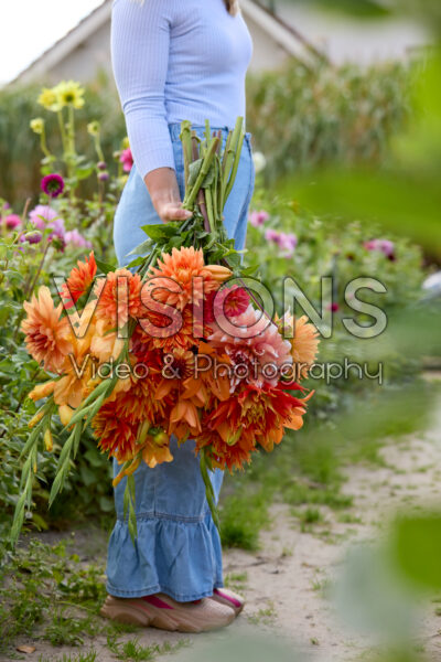 Dame met gemengde zomerbloeiers Dame met gemengde zomerbloeiers