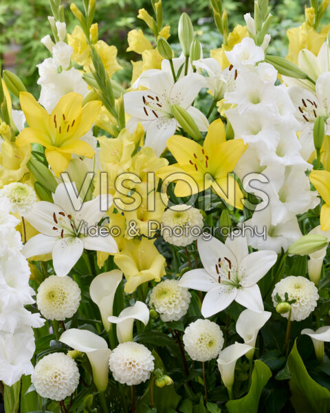 Mixed summer flowers Mixed summer flowers