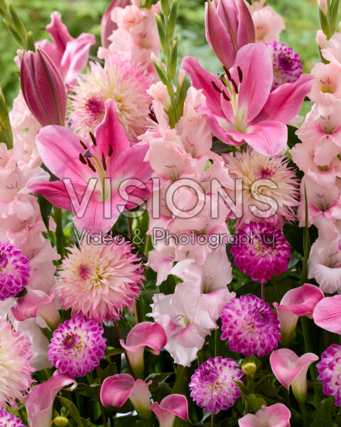 Mixed summer flowers