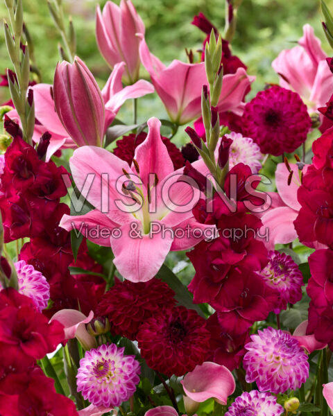 Mixed summer flowers Mixed summer flowers