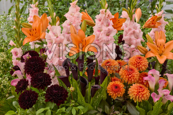 Mixed summer flowers