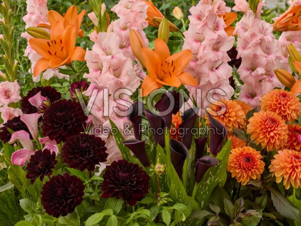 Mixed summer flowers