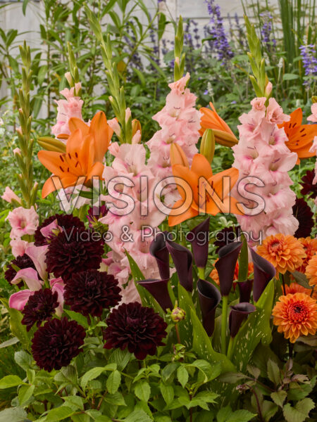 Mixed summer flowers