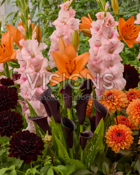 Mixed summer flowers