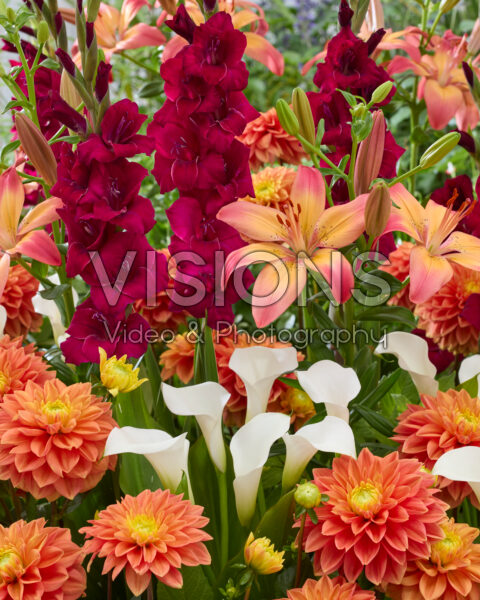Mixed summer flowers